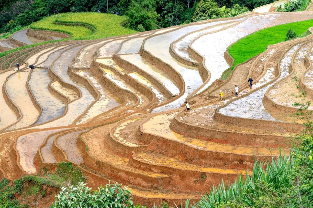 Sapa Fantasea Homestay Exterior photo